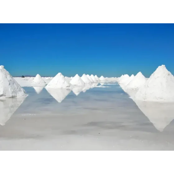 Ekstraksi Lithium dengan Flotasi dari Sumber Daya Air Garam Salt Lake