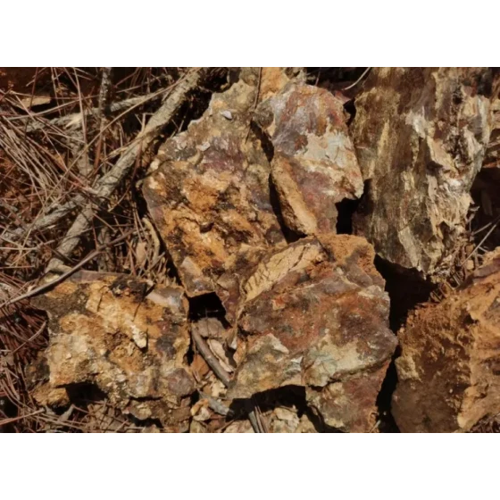 Uji Pengolahan Bijih Emas Teroksidasi