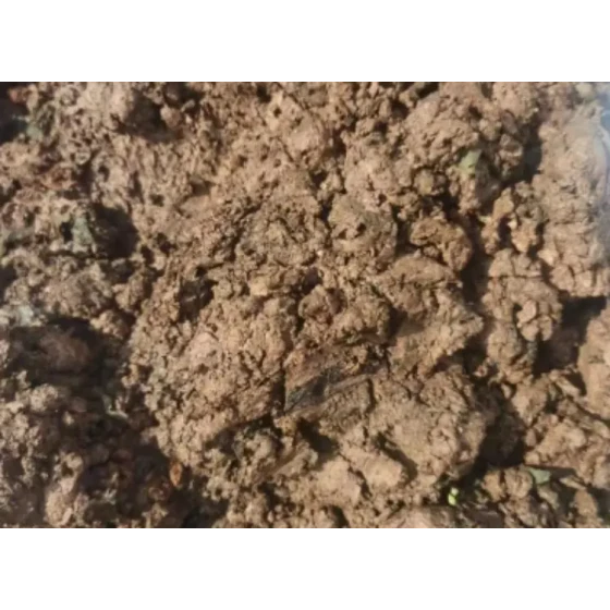 Uji Manfaat Lendir Bijih Oksida Logam