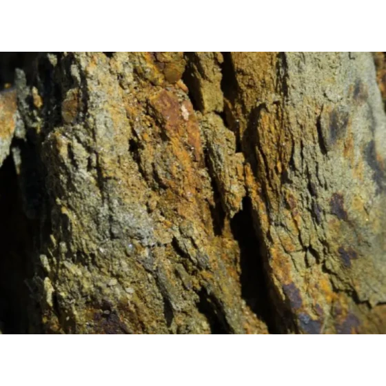 Uji Ekstraksi Emas dengan Pelindian Sianida