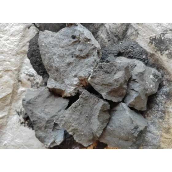 Uji Pengolahan Mineral Bijih Emas Sulfur Tinggi