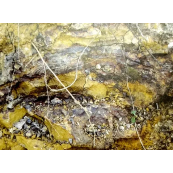 Uji Proses Pelindian untuk Bijih Terkait Tahan Api