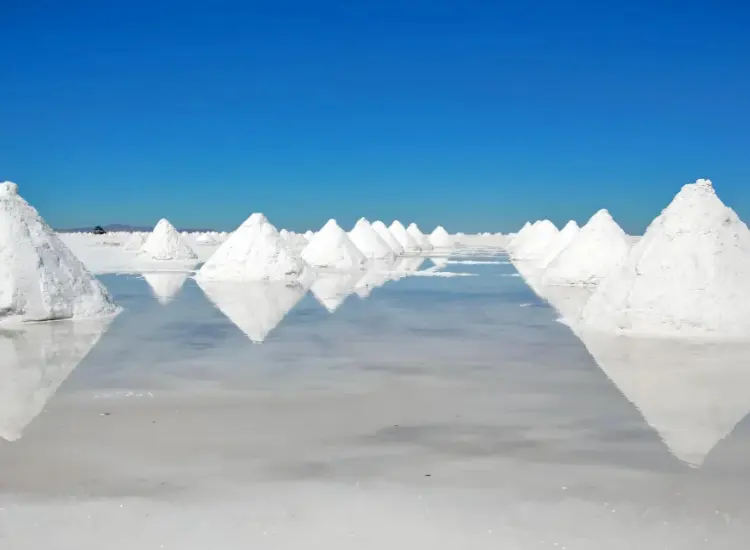 Ekstraksi Lithium dengan Flotasi dari Sumber Daya Air Garam Salt Lake