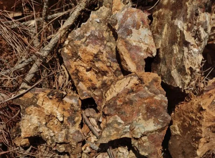 Uji Pengolahan Bijih Emas Teroksidasi