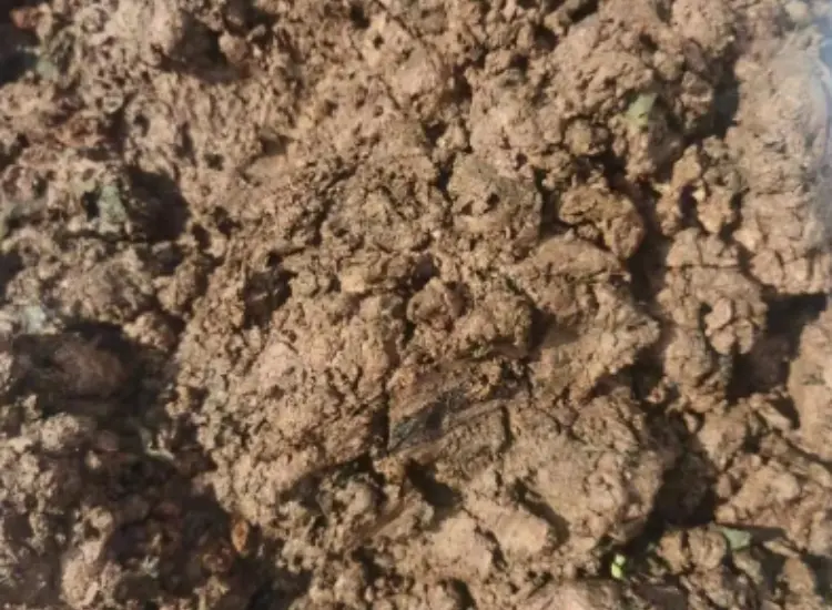 Uji Manfaat Lendir Bijih Oksida Logam