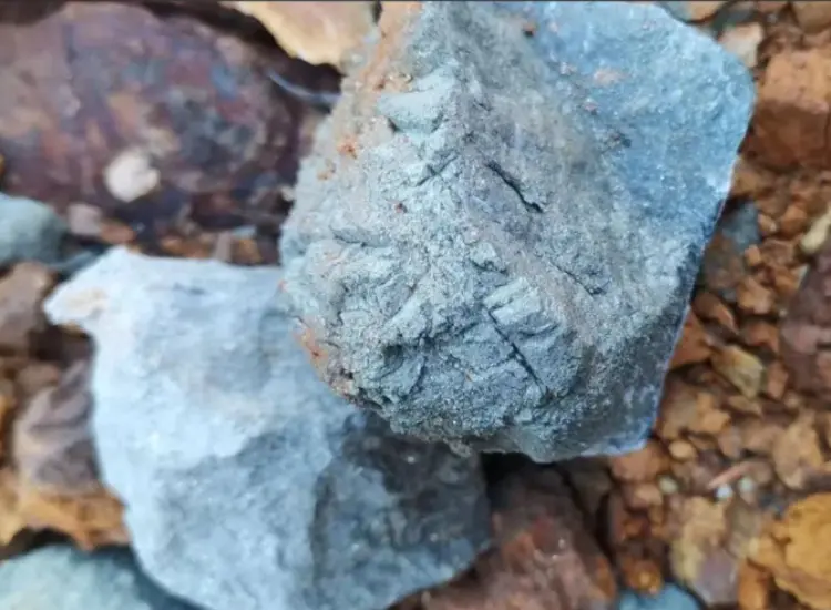 Uji Pemulihan dari Tailing Emas Bersulfur Tinggi