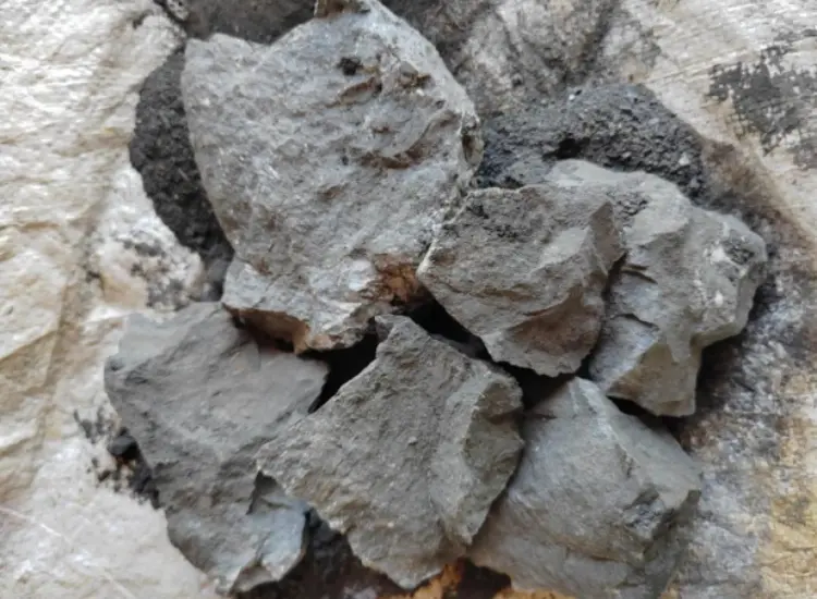 Uji Pengolahan Mineral Bijih Emas Sulfur Tinggi