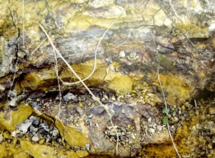 Uji Proses Pelindian untuk Bijih Terkait Tahan Api