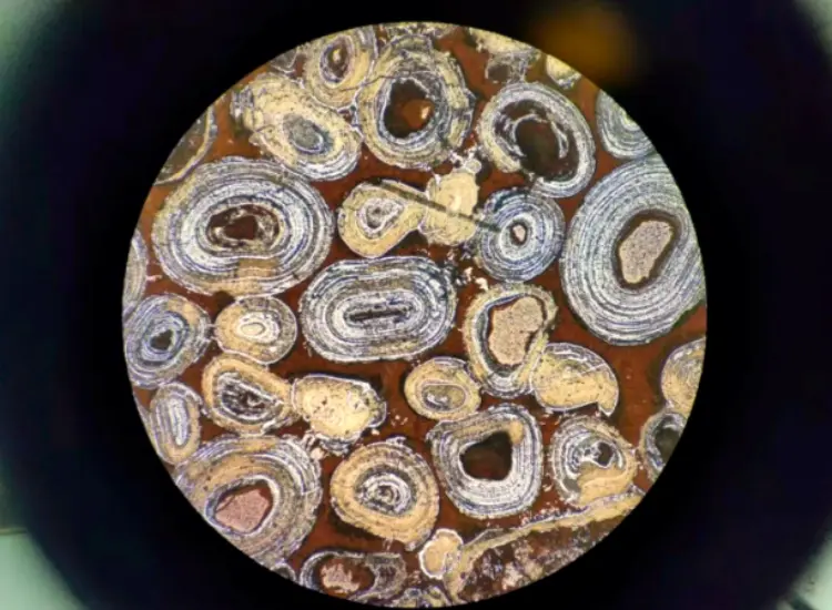 Uji Defosforisasi dan Desilikasi Hematit Oolitik